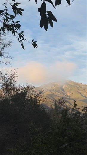 Highlights from the past week here at Pfeiffer Big Sur State Park! In the reel you will see: A Bobcat, Two Turkeys, Columbian black-tailed Deers, an American Dipper in the Big Sur River followed up by a Banana Slug slithering along the forest floor! Be sure to visit Pfeiffer Big Sur State Park and all of our other beautiful parks while you plan your trip to #BigSur #Wildlife #BigSur #CAStateParks #PfeifferBigSurStatePark | Big Sur State Parks