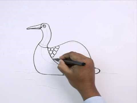 How to Draw a Loon