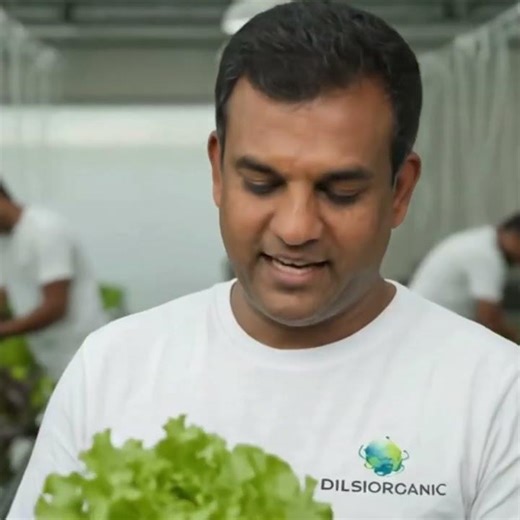 ලෝකය හොල්ලන Vertical Farming තාක්ෂණය. 🚀