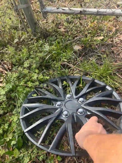 Aftermarket Hubcap Find