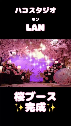 大阪の桜を楽しむ和室スタジオ