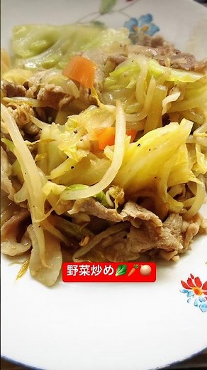 【野菜炒め】大人も子供も大好きな野菜炒め🥬🥕🧅 #簡単レシピ #今日の晩ごはん #まいにちごはん #おうちごはん #豚肉レシピ #キャベツレシピ #もやしレシピ