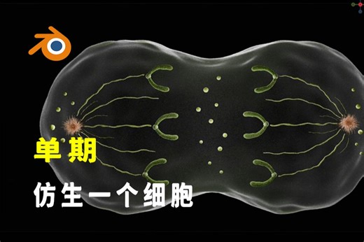 【Blender宝藏教程】仿生一个细胞