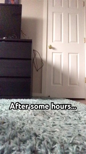 Meet: •Forest Watcher•