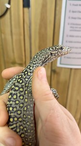 3.5K views · 148 reactions | Sometimes you just have to appreciate...