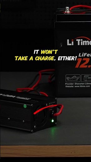 LiTime Lab #052 - Battery Won't Charge Check These 4 First!