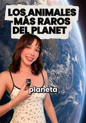 Aves: ¡Los Dinosaurios Siguen Aquí!
