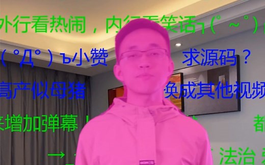 B站智能防挡弹幕原理猜测之mask rcnn实例分割