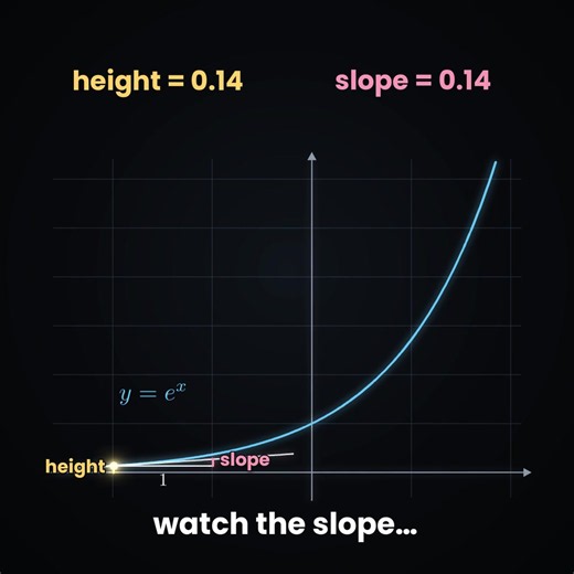 Absolute Value of e^x Explained