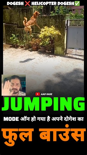 Helicopter डोगेश 😂 #motivationalvideo #motivation #inspiration #success #motivationalquotes #Short