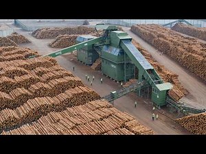 Inside Pennsylvania Sawmill Process 80% America's Premium Hardwood - From Forest to Family Sawmill