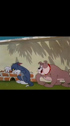TOM & JERRY on Instagram: "This video is a compilation of classic scenes from the Tom and Jerry cartoon, specifically focusing on the interactions between Tom, Spike the bulldog, and Tyke (Spike's son). ​The clips highlight the slapstick humor and "teaching moments" often found in the Spike and Tyke episodes: ​The Barking Lesson: Spike demonstrates his powerful bark to Tyke, which scares Tom so badly he literally turns red and jumps out of his skin. ​Jerry’s Interference: Jerry plays a trick on 