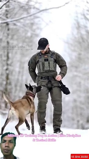 Military K9 Training Dog in Action | Elite Discipline & Tactical Skills #malinois #dogtraining