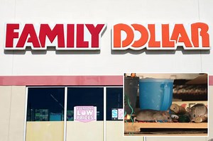 Family Dollar hit with record $41.7M fine over mouse-infested warehouse