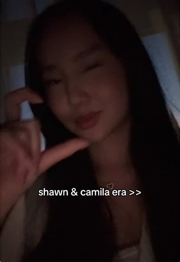 Nostalgia for Shawn Mendes and Camila Cabello Era