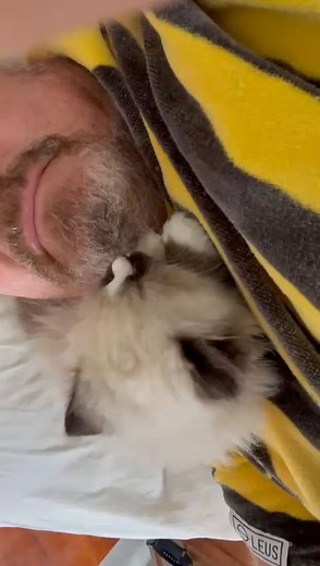 11K views · 156 reactions | A little grooming session with Zen ❤️...