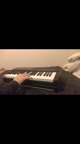 ｴｯﾎｴｯﾎ εε＝🦉 ｴｯﾎｴｯﾎ #えっほえっほ #ピアノ @terencepiano #Pianokeyboard #Foldablepiano #Portablepiano #Terencepiano