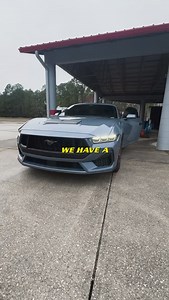 11K views · 288 reactions | This beautiful ‘24 Mustang GT came in for...