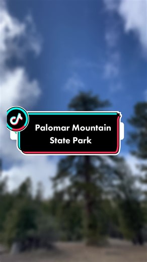 Exploring Doane Valley Loop at Palomar Mountain