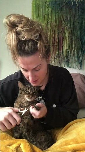 Dramatic Cat Protests Nail Clipping || ViralHog