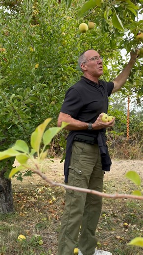 Just give me warm apple pie with ice cream on top during a very cold day. 😋 | Neo KirchBaby