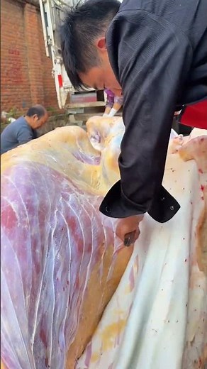 Beef slaughtering and skinning techniques