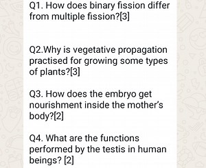 Question 1How does binary fission differ from multiple fission... | Filo