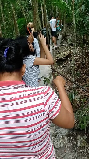 7 comments | #tarsier #reels #nature #beauty #everyone #iloveBohol #explore #okok | OK OK | Facebook