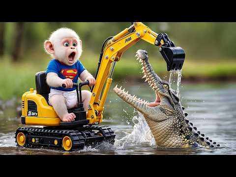 🔥🐒 Monkey BiBo Digs a Water Channel to Save the Fish… But a Ferocious Crocodile Jumps Out! 🐊😱