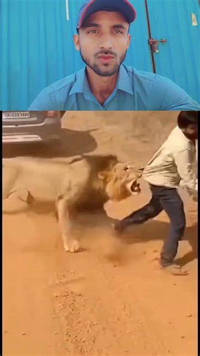 Swaroop Kumar on Instagram: "देखो भाई शेर भाई को पकड़ रखा है 🌺🤔#new #vairal 😂🌺#video #tarendig #reels😅 #fannyvideo 💫🌹 Ram Sagar Sagar Sahul Kumar Sahil Bhai Dileep Nishad Khushbu Sharma Babbu Babbu Ravinder Prajapati Durgesh Parjapati Suraj Rock Kamlesh Raja Nishad Ji Rahul Prajapati Suresh Suresh Mukesh Yadav"