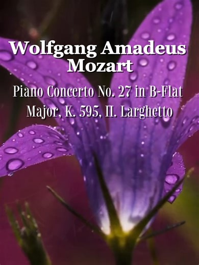Wolfgang Amadeus Mozart – Piano Concerto No. 27 in B-Flat Major, K. 595, II. Larghetto 🎵 Petersburg Orchestra Classic Music Studio, pianist Veronika Reznikovskaya brings luminous clarity and poetic sensitivity to every phrase, under the elegant direction of Alexander Titov. The Larghetto unfolds with graceful simplicity and emotional depth — a serene conversation between piano and orchestra, filled with warmth, nostalgia, and Mozart’s unmistakable melodic beauty. #CugateClassicsClub #MemoMusic 