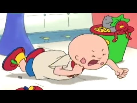Caillou en Español | El Berrinche de Caillou | Dibujos Infantiles | Nueva Temporada