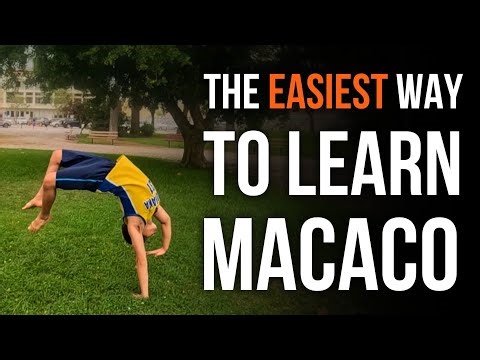 The Easiest Macaco Tutorial in 6 Minutes【4K】