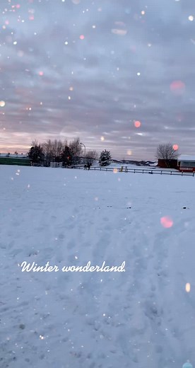 #cinderella #askepottogde3nøtter #askepott #horse #trotter #winter #idyll #nature #firsttiktokvideo