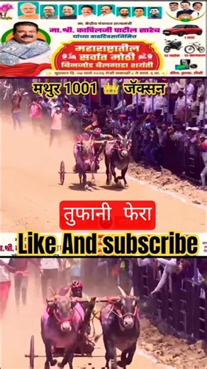 मथुर1001👑 जॅक्सन चा इताडे भिवंडी मैदानात तुफानीफेरा#bailgadasharyat#live#p3#bakasur#mathur#stc#viral