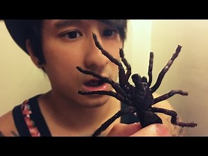 ASIA FOOD CHALLENGE (EXTREM) | Julien Bam