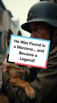 The Dog Who Saved Hollywood 🐾✨ #history #rintintin #dog