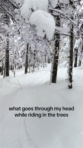 Snowboarding Adventures Through the Trees: A Minecraft Vibe