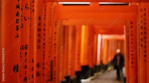 Stroll Through Iconic Torii Gates