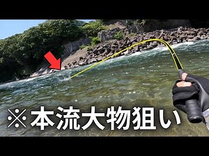 [With subtitles] Tenkara Euro Nymphing for mainstream trout!! / Trout Fishing