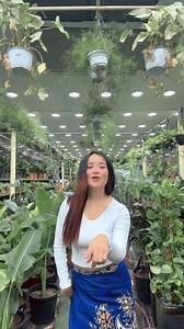 151K views · 5K reactions | wow beautiful lady of Nepal .watch full video at link:https://youtu.be/Rmg0uH2V5hE?si=5C725OgEG7KgaRLd | सिरान्चोक-१,केराबारी मौलिक गित निर्माण | Facebook