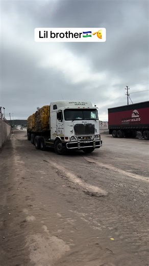 R56 Dominator Truck Driver - Lesotho TikTok