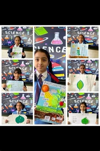 #science #activity #projects #school #presentation #scienceactivity