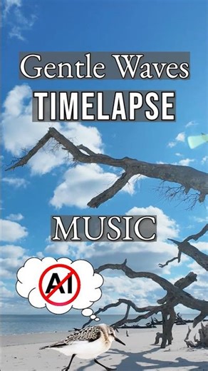Timelapse Gentle Waves Boneyard Beach. No AI.
