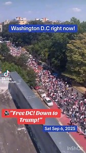 GO D.C.! | Amy Siskind