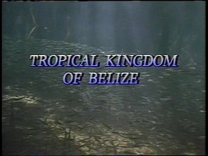 [Vintage VHS] National Geographic: Tropical Kingdom of Belize : Free Download, Borrow, and Streaming : Internet Archive