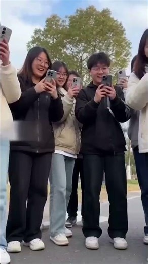 These Two Cats Arguing in Public Is Hilarious! #animals #cat#CatFight#CatShorts#Kitten#CatLife