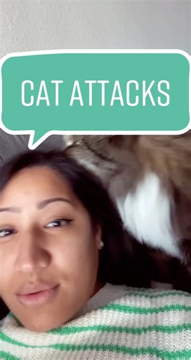 Understanding Cat Biting Behavior: Tips for Cat Owners