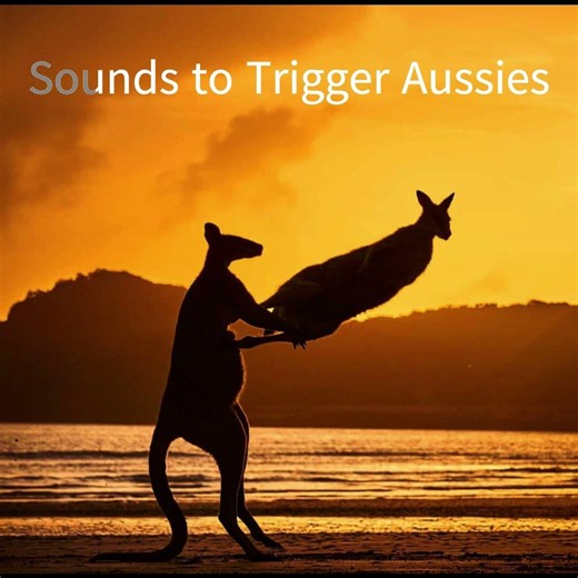 Sounds to Trigger Aussies: NCL