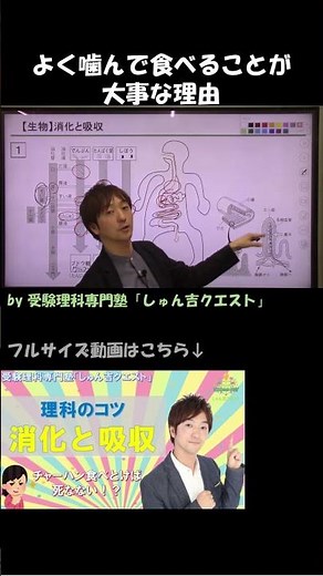 【理科のコツ「消化と吸収」】胃・小腸・すい臓の働きを詳しく解説【受験理科専門塾しゅん吉クエスト】